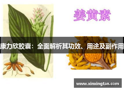 康力欣胶囊:全面解析其功效、用途及副作用 康力欣胶囊:全面解析其功效、用途及副作用