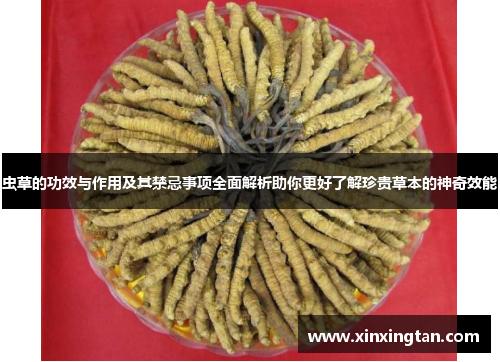 虫草的功效与作用及其禁忌事项全面解析助你更好了解珍贵草本的神奇效能 虫草的功效与作用及其禁忌事项全面解析助你更好了解珍贵草本的神奇效能